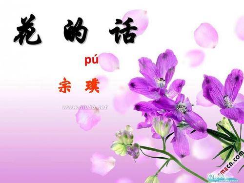 宗璞：花语
