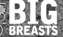 《丰乳肥臀》读后感：向母亲、历史和时代致敬