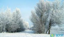 形容冬天的雪景优美句子