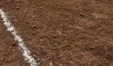 归宿——读《家》有感