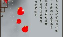 水调歌头的诗意