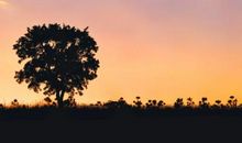 你不屑于大器晚成，只能平庸一生