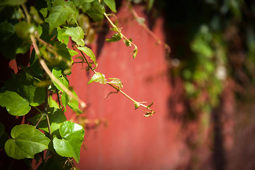 5条值得您投入的人生见解