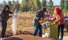 张向东：一路朝西