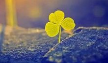 人生感悟：人生，最重要的九种态度