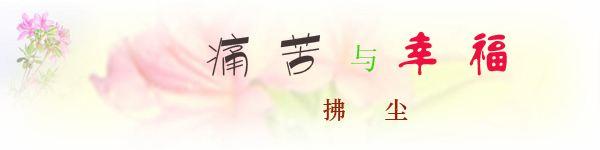 感叹人生的得失