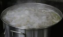 客中初夏的诗意