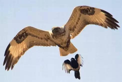 王学红：要成功，你必须做最难的事情