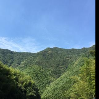 兵心：山中情Mixed