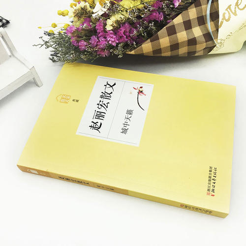 赵丽红：城市的天Sound