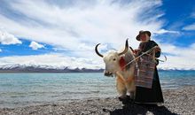 徐小平：一个执着地寻求生活意义的人