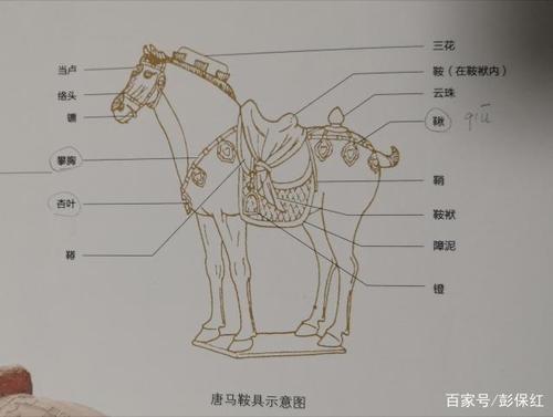 与马有关的成语