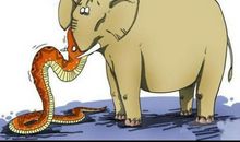 跟蛇有关的成语