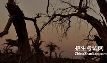 饱经风霜怎么造句