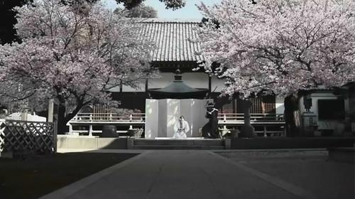 关于“面孔”的思考