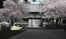 《面子》观后感