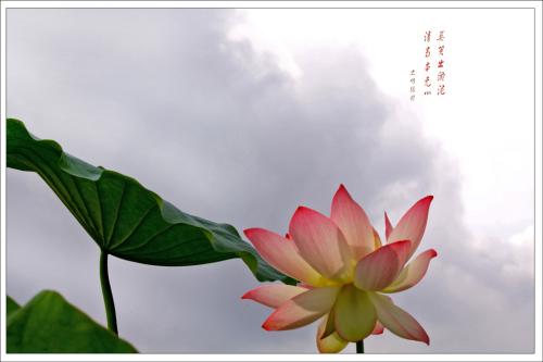 当你不应该被提升时，不要被提升