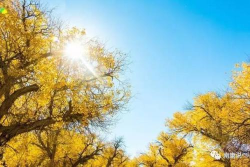 于大夫：初秋之夜