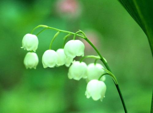 每个角落的每个人都过着相似的生活