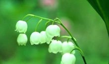 每个角落的人都过着相似的人生