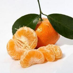 初中组成：糖橙