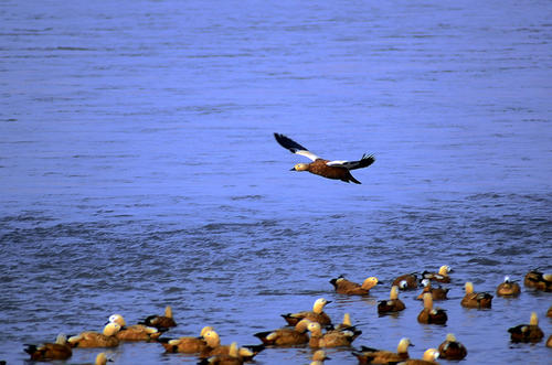 圈子里流传的十个字真是太好了