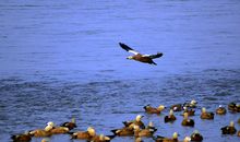 圈子里流传的10句话，说的确实精辟