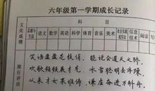 高年级小学生操行评语