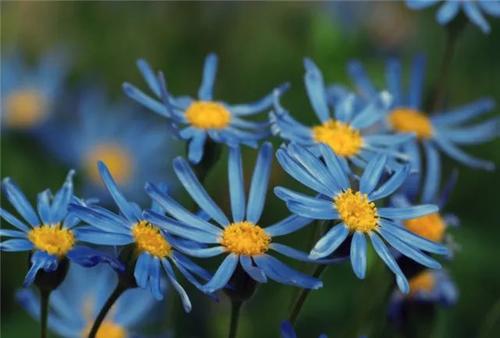 冯继才：没有书的日子