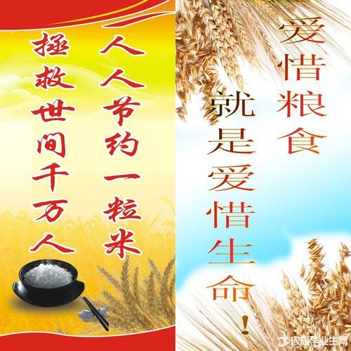 关于计划的名言