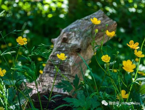 梁世秋:对话的艺术