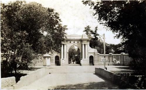 温一多：召回菊