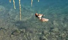 冯骥才：逼来的春天