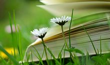 幸福贴士：10招让你的心情更阳光