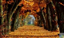 描写秋天的好句大全