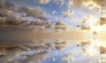 少年派的奇幻漂流读后感300字