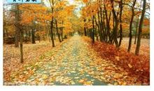 初秋行圃的诗意