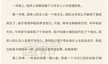 稻草人读后感300字