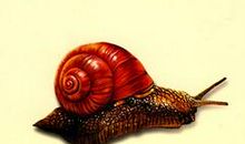 富兰克林：低头与昂首