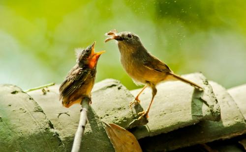 初中作文：感受生活