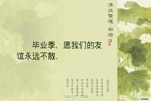 关于友谊的漂亮句子