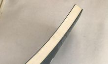 梁晓声：玉顺嫂的股