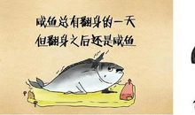 经典语录：你总不能既单身，又胖若两人