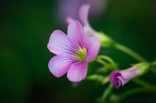 生活中的六件事，不再等待