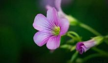 人生六件事，千万别再等