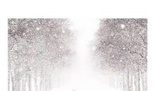 描写大雪的优美句子