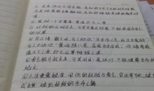 优美句子摘抄加赏析