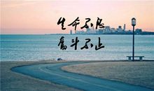 有关理想的佳句