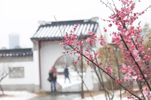 卜zi子咏梅的诗意味。