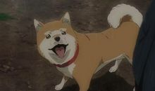 梦想与工作，可以兼得